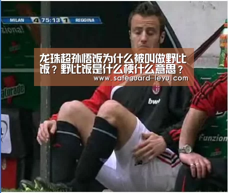 龙珠超孙悟饭为什么被叫做野比饭？野比饭是什么梗什么意思？‘乐鱼官网’(图4)