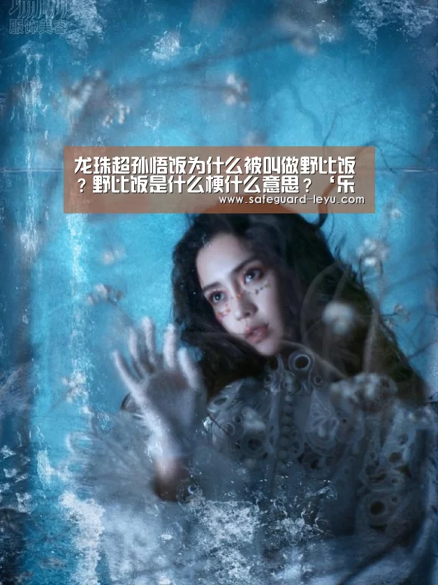 龙珠超孙悟饭为什么被叫做野比饭？野比饭是什么梗什么意思？‘乐鱼官网’(图2)