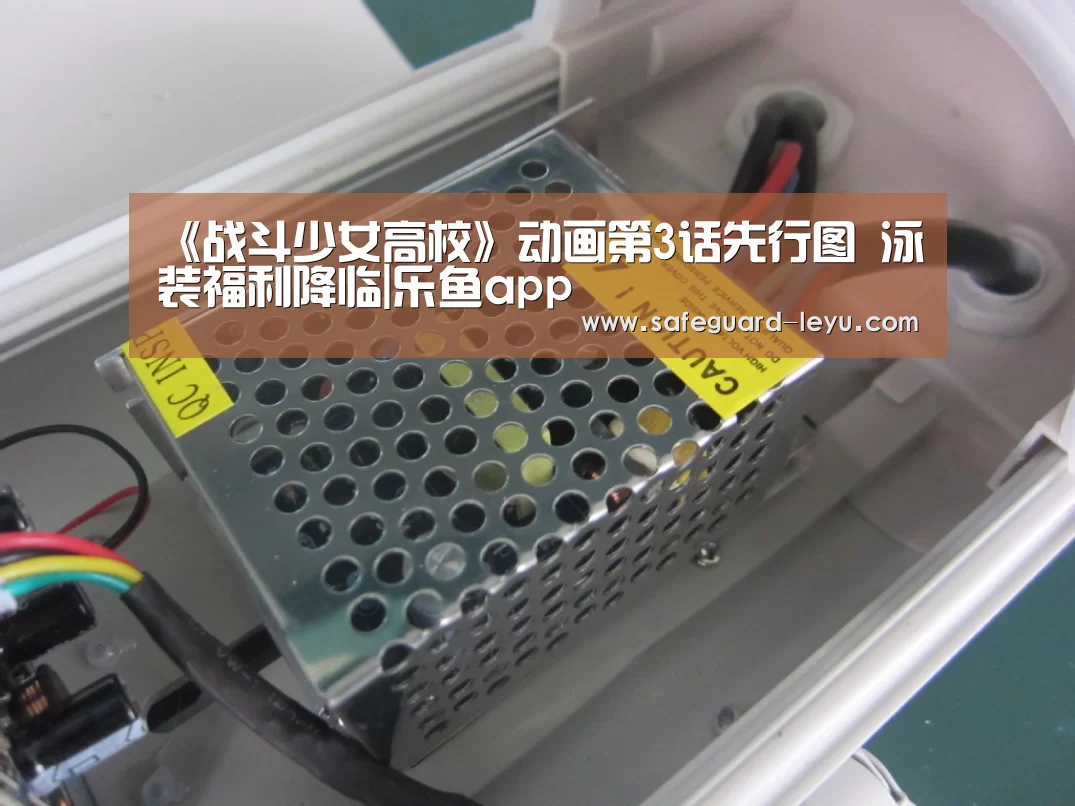 乐鱼app
