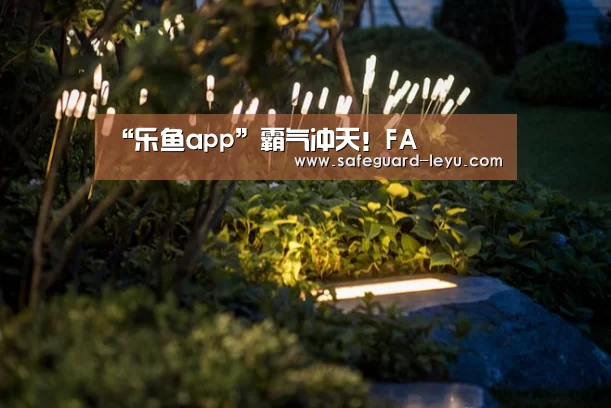 “乐鱼app”霸气冲天!FA(图4) 乐鱼体育