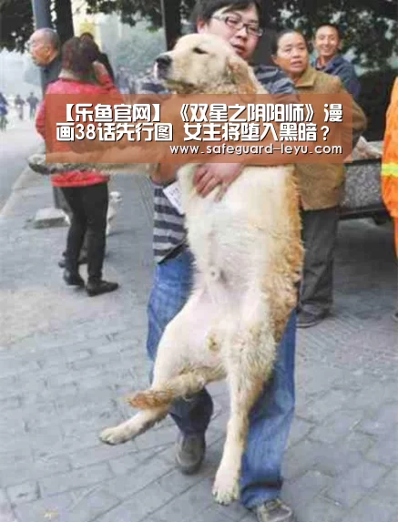乐鱼官网