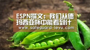 乐鱼官网